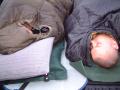 party2006_605 
